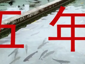 ZUN LONG YU ZHUANG