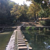 評論圖片 3