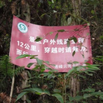 評論圖片 5