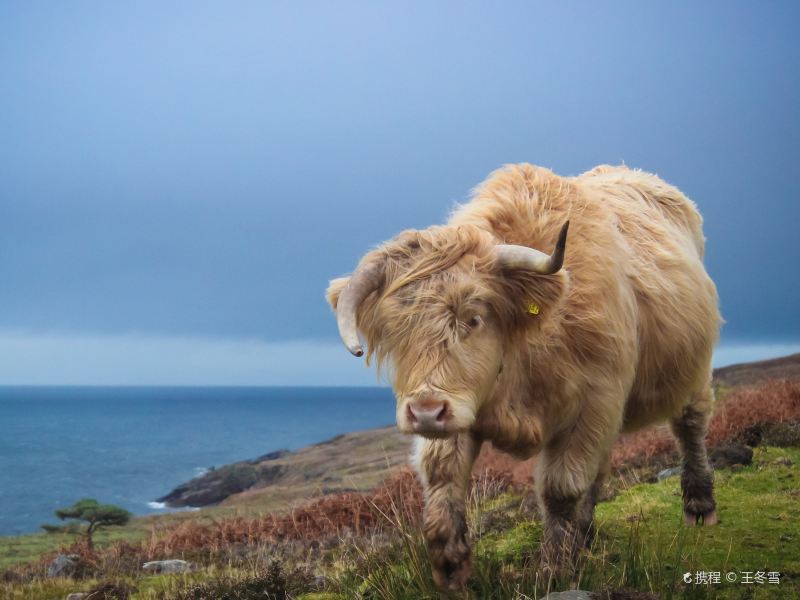 Scottish Highlands