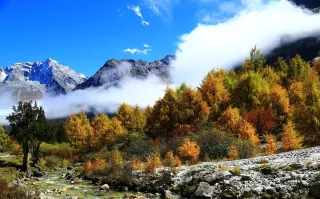 The Best Places in Sichuan to Experience the Beauty of Autumn