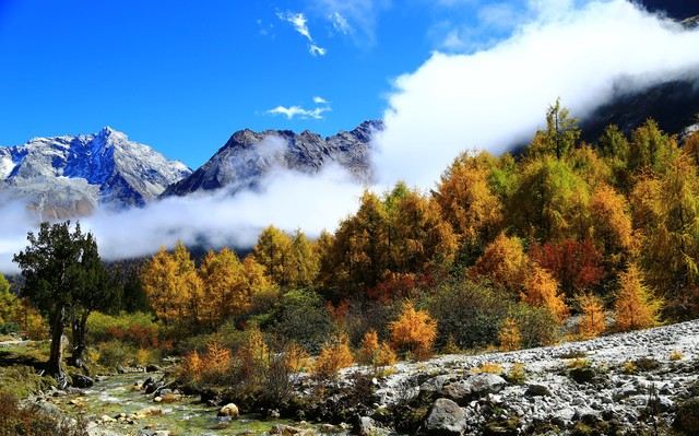The Best Places in Sichuan to Experience the Beauty of Autumn