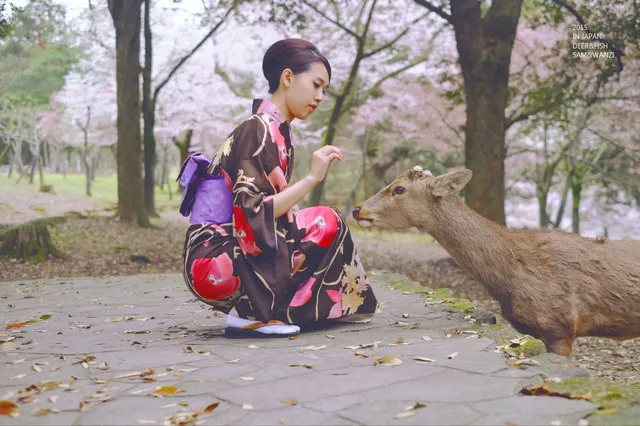 Great Things to See Besides Deer in Nara