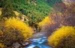 Beishan National Forest Park