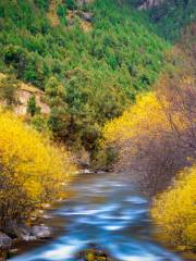 Beishan National Forest Park