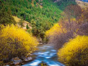 Beishan National Forest Park