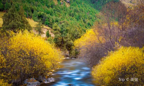 Beishan National Forest Park