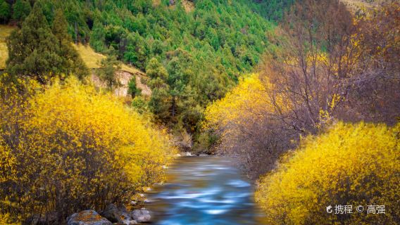 Beishan National Forest Park