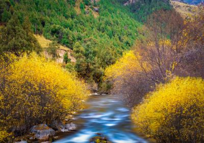 Beishan National Forest Park