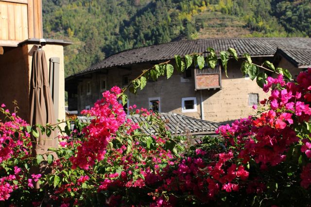 Taxia Village