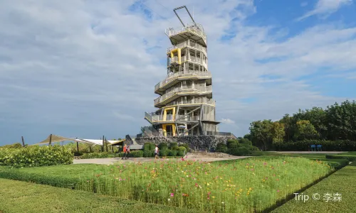 Singha Park Chiang Rai