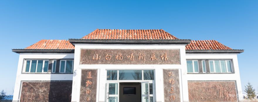 Xiaobaiyang Post