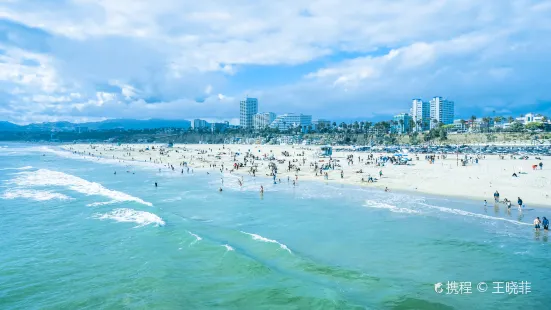 Santa Monica State Beach