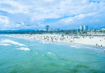 Santa Monica State Beach