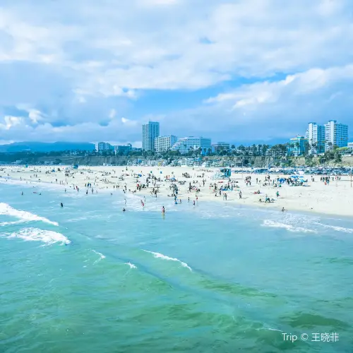 Santa Monica State Beach