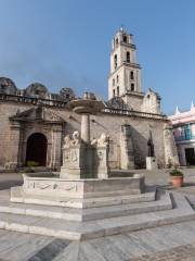 Plaza de San Francisco de Asis