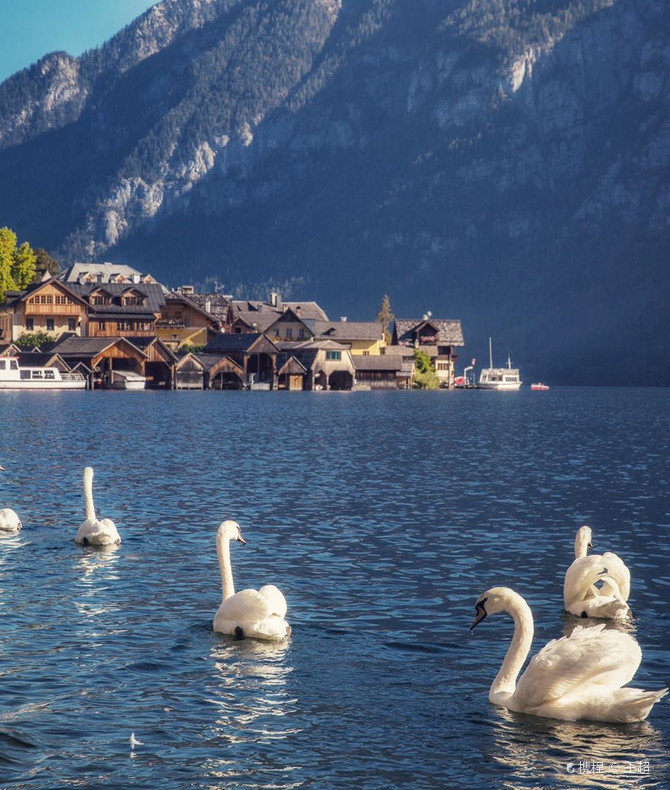 Hallstatt ハルシュタット　引き取りのみ Hallstatt ハルシュタット 引き取りのみ 🇦🇹 Hallstatt