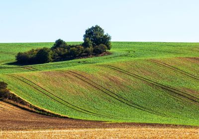 South Moravia