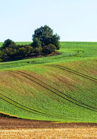 Hotels With Pools in South Moravia, Czech Republic