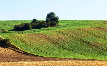 South Moravia