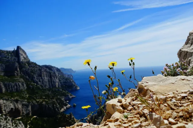 Exploring France's Calanques National Park