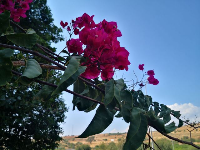 Sea of Galilee