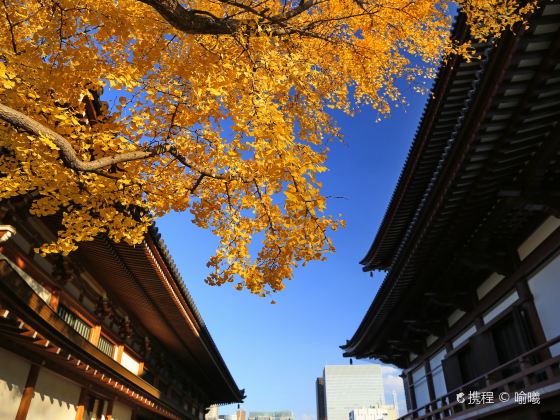 Zojo-ji Temple