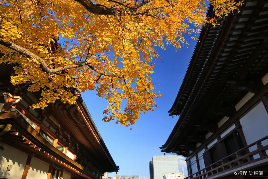 조죠지 주변 호텔