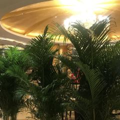 保定电谷国际酒店·绿谷咖啡西餐厅 User Photo