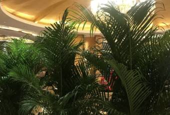 保定电谷国际酒店·绿谷咖啡西餐厅 user photo