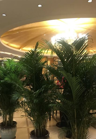 保定电谷国际酒店·绿谷咖啡西餐厅