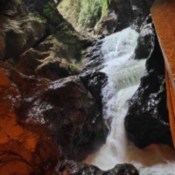 評論圖片 1