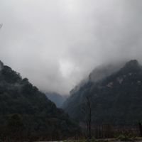 評論圖片 4