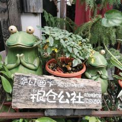 粮仓公社花园酒吧 User Photo