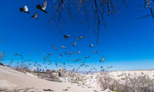 Pigeon Valley