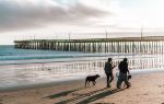 Cayucos State Beach