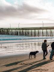 Cayucos State Beach