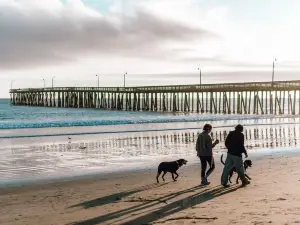 Cayucos State Beach