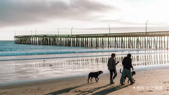 Cayucos State Beach