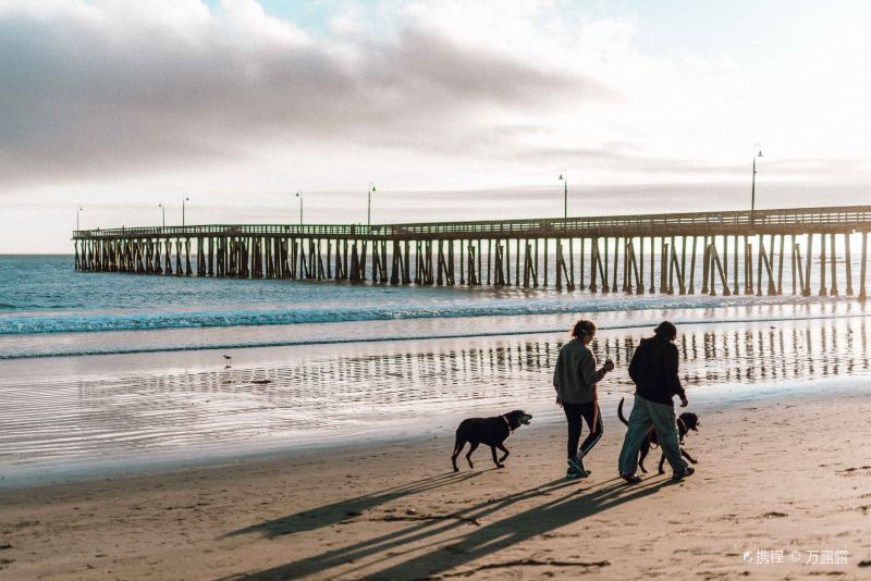 Cayucos State Beach