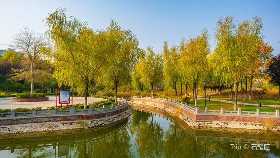 Ruyi Garden