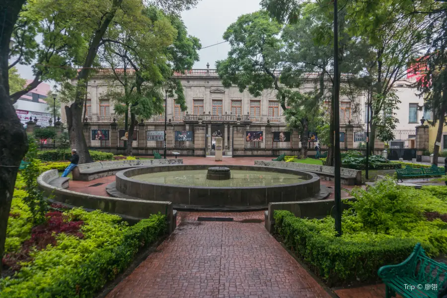 The National Museum of San Carlos