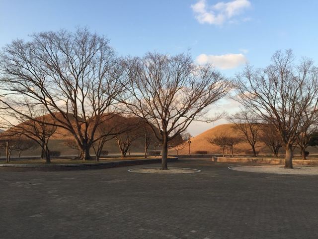 대릉원