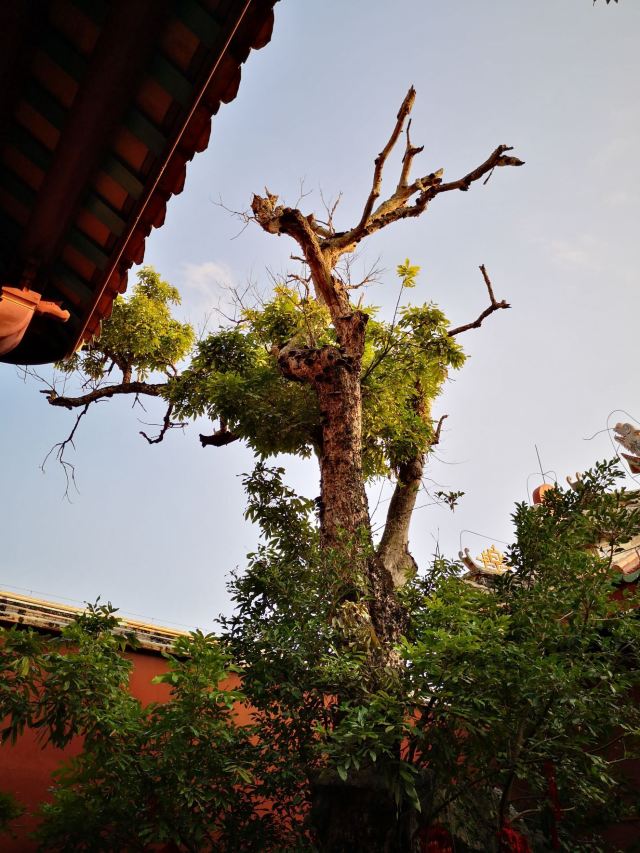 Xuegong