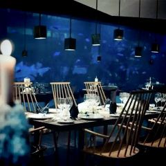 SHARK RESTAURANT User Photo