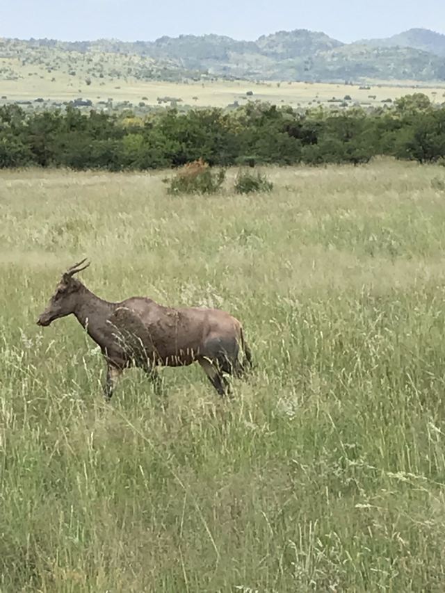 Johannesburg Zoo