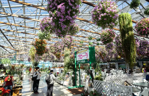 掛川花鳥園門票小童