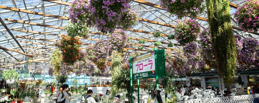Kakegawa Kachoen