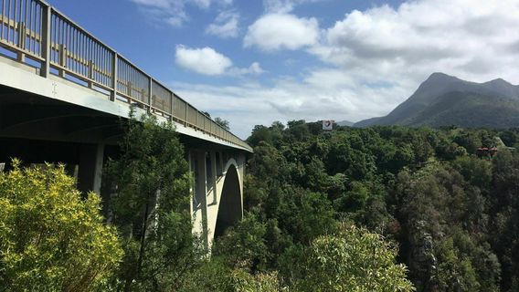 Perry's Bridge Reptile Park