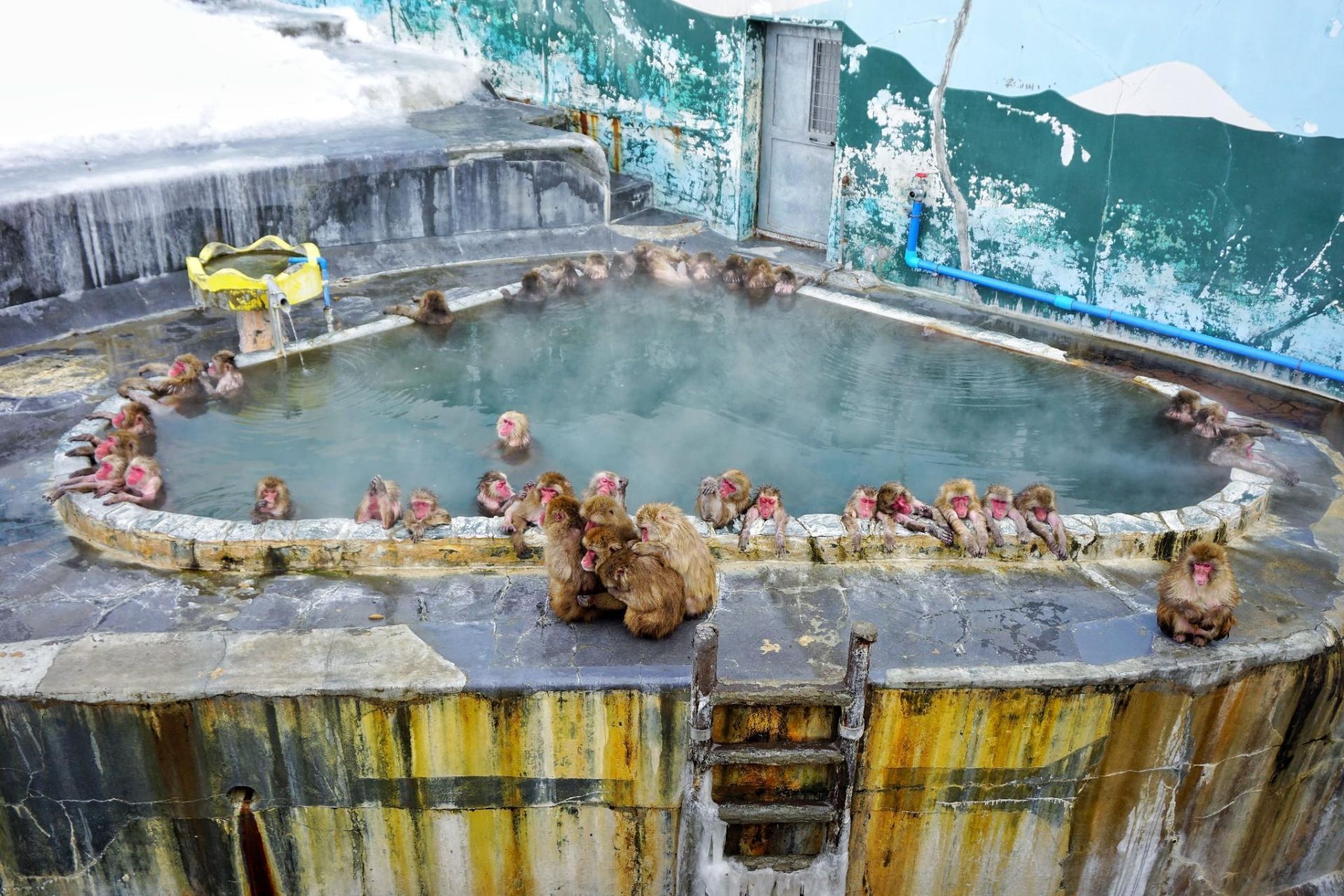 函館 函館市熱帯植物園 評判 案内 トリップドットコム